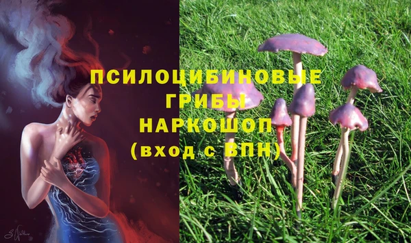мяу мяу мука Саяногорск