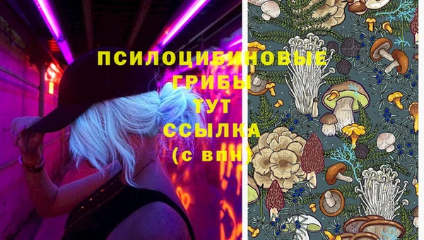 гидропоника Белокуриха