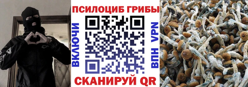 Псилоцибиновые грибы мицелий  цены   Верхотурье 